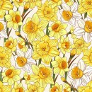 Flower Market Col. 110 Daffodils - Due Jan/Feb