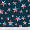 20200 Quilt Backs Col 239